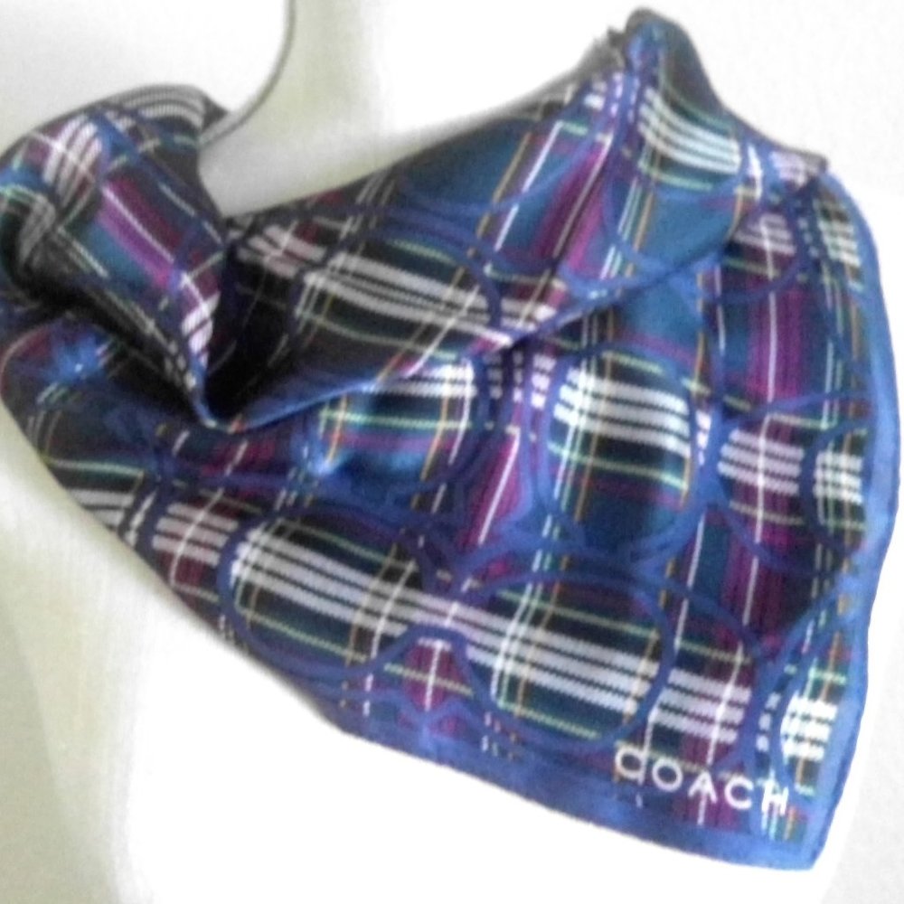 Silk Coach Scarf - Gorgeous! - Picture 4 of 5